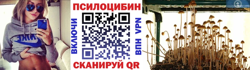 omg маркетплейс  Комсомольск-на-Амуре  Галлюциногенные грибы Magic Shrooms 